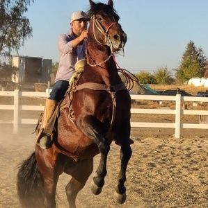 Meet your Posher, Max